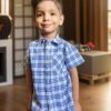 Blue and white half sleeves checks