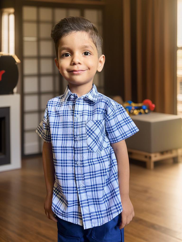 Blue and white half sleeves checks